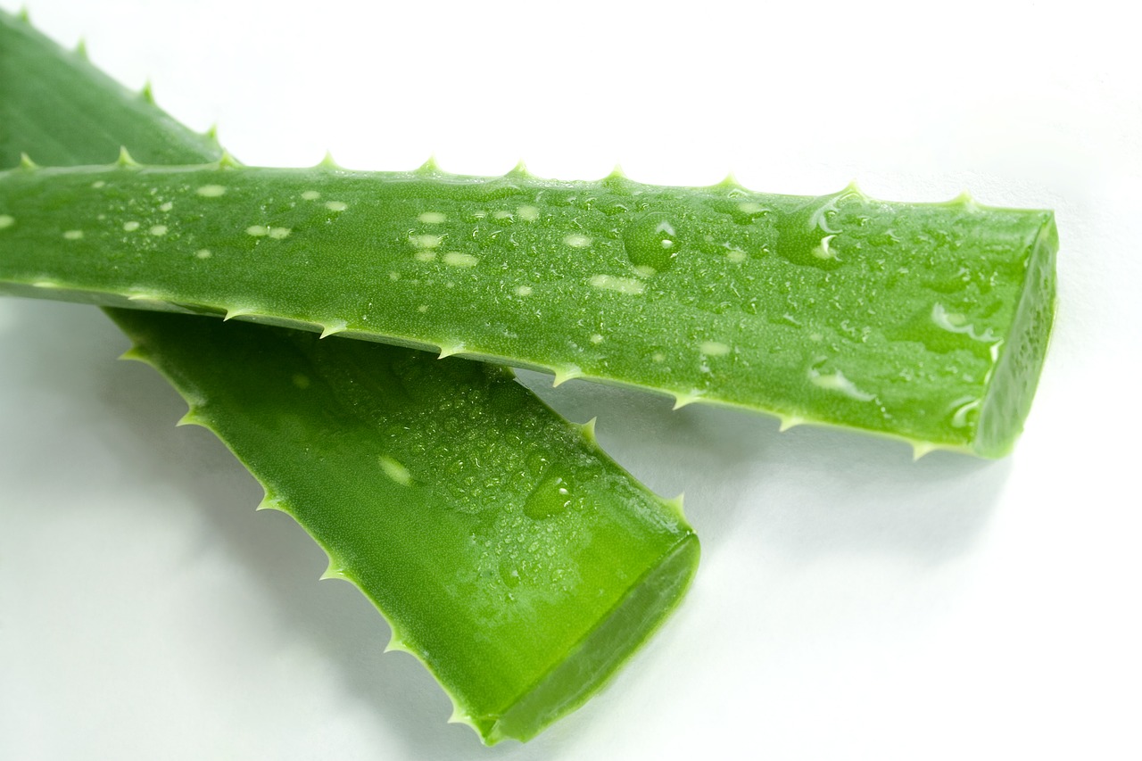 ALOE VERA VENDITA: STOP ALLA VENDITA DI INTEGRATORI A BASE DI IDROSSIANTRACENE